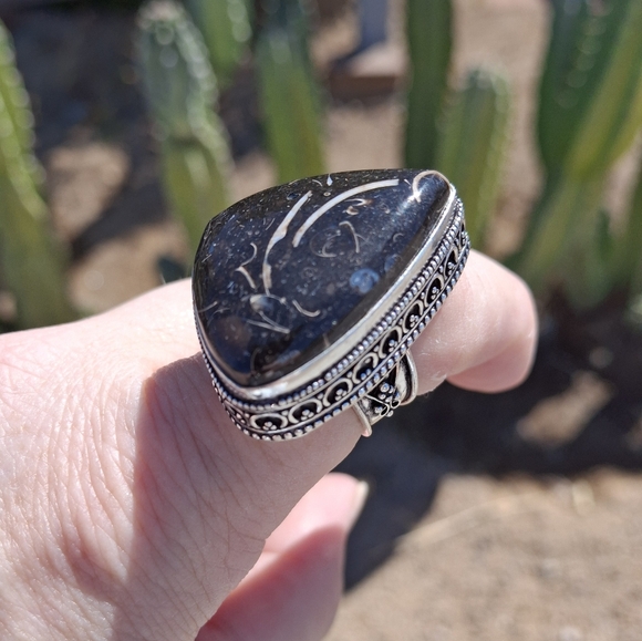 New Turritella Agate Fossi Silver Ring. - Picture 7 of 12